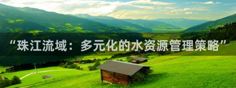 新球体育篮球比分