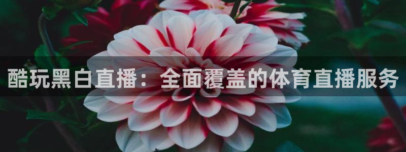 新球体育足球