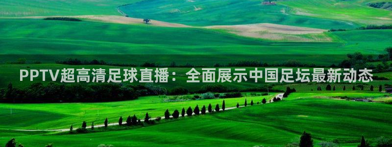 新球体育网球比分