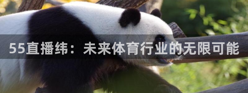 新球体育app：55直播纬：未来体育行业的无限可能