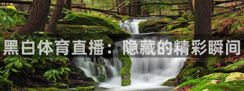 新球体育赛事：黑白体育直播：隐藏的精彩瞬间