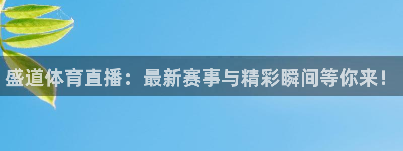 新球体育直播