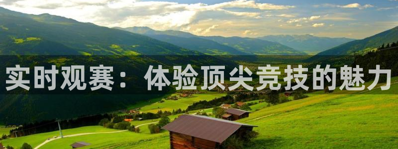新球体育足球即时比分：实时观赛：体验顶尖竞技的魅力