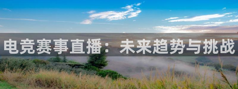 新球体育足球比分：电竞赛事直播：未来趋势与挑战