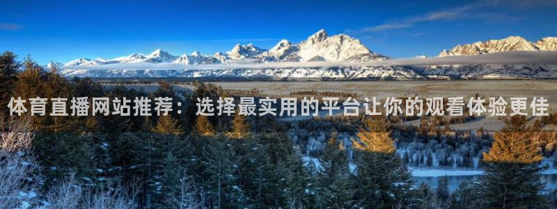 新球体育即时分：体育直播网站推荐：选择最实用的平台让你的观看体验更佳